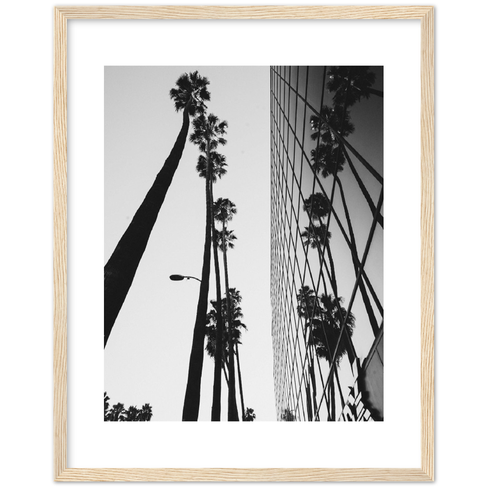 PALM TOWER