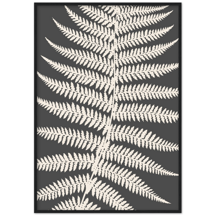 GREY FERNAT III