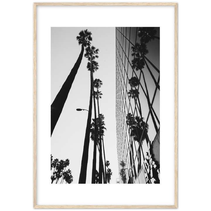 PALM TOWER