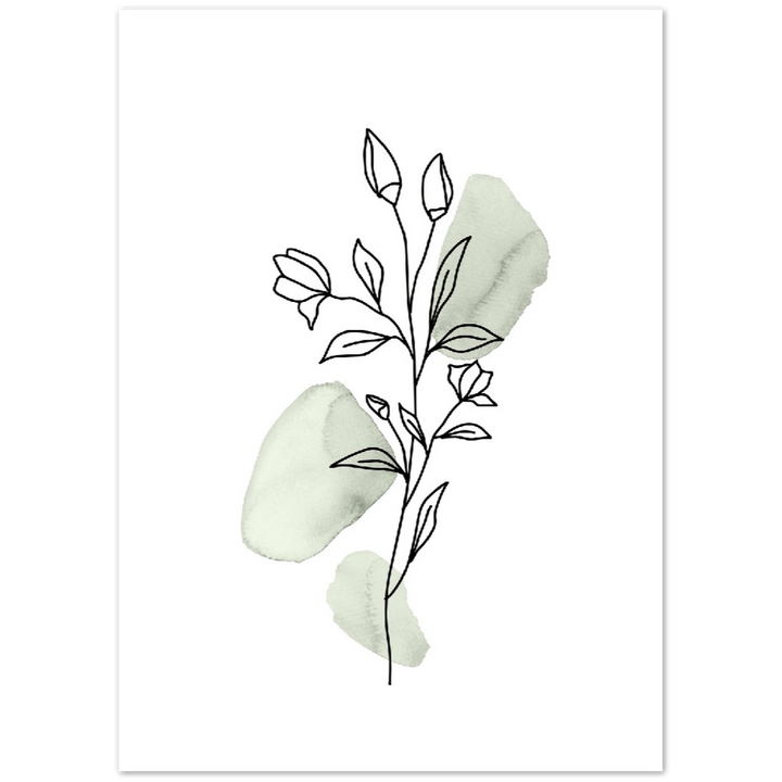 BOTANICA VERDE VI