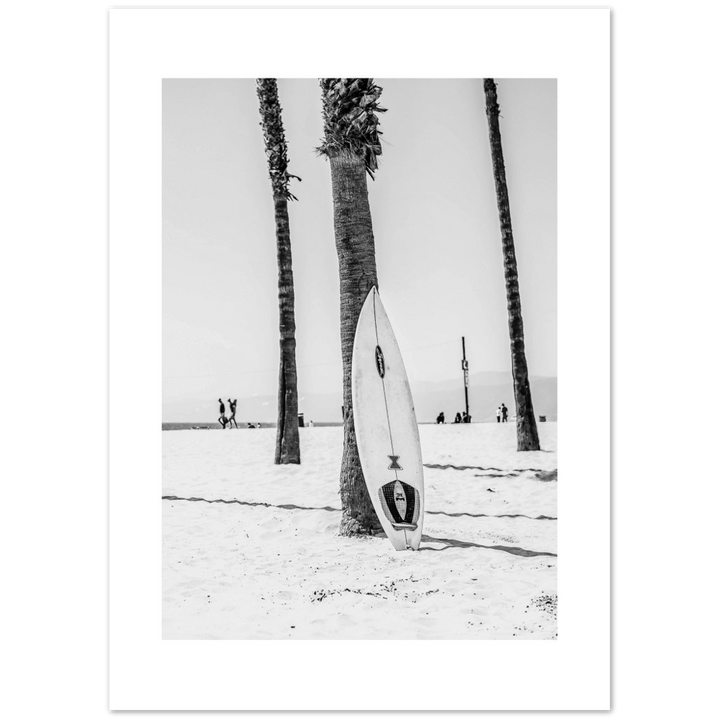 PALM SURF