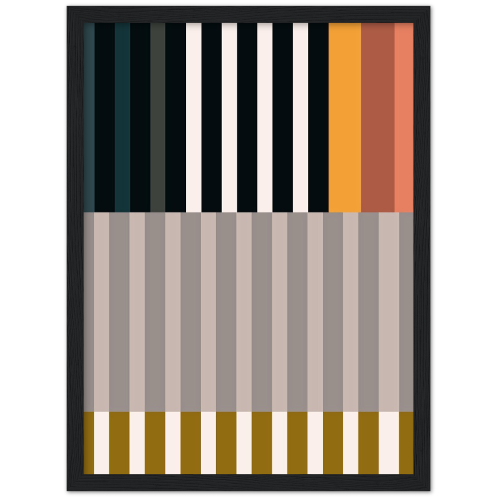 RAYVISION II