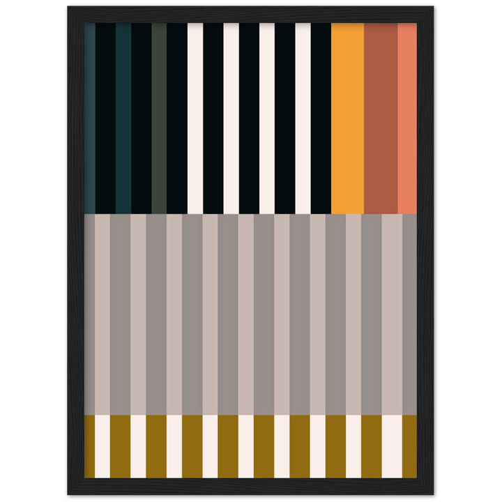 RAYVISION II