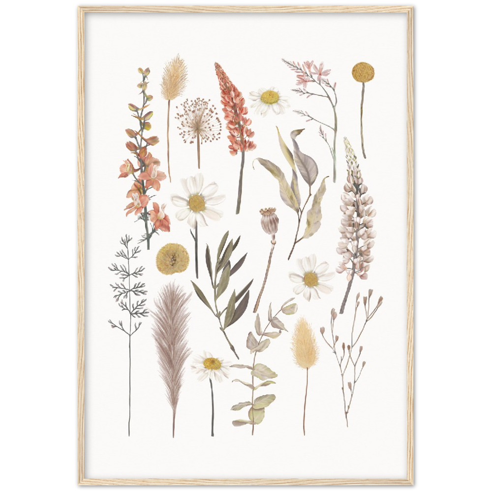 BOTANIC COMPO