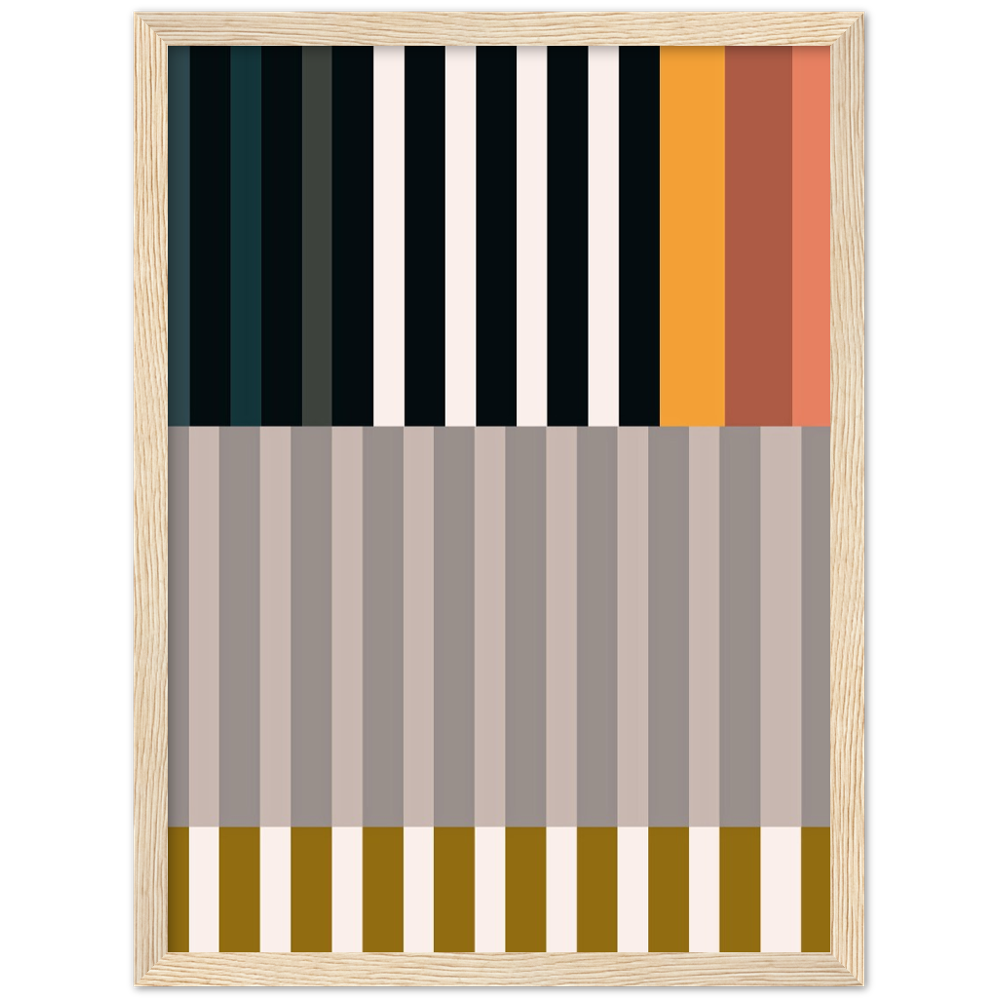 RAYVISION II