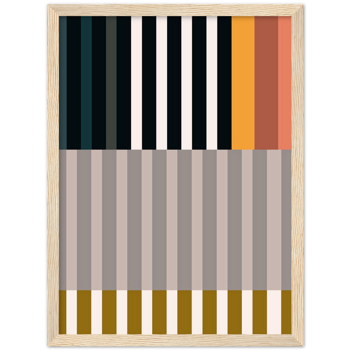 RAYVISION II