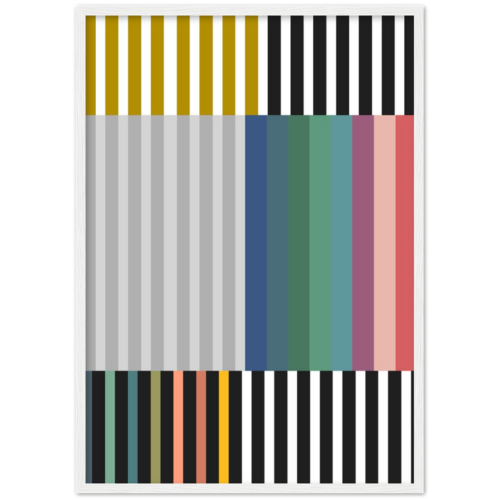 RAYVISION III
