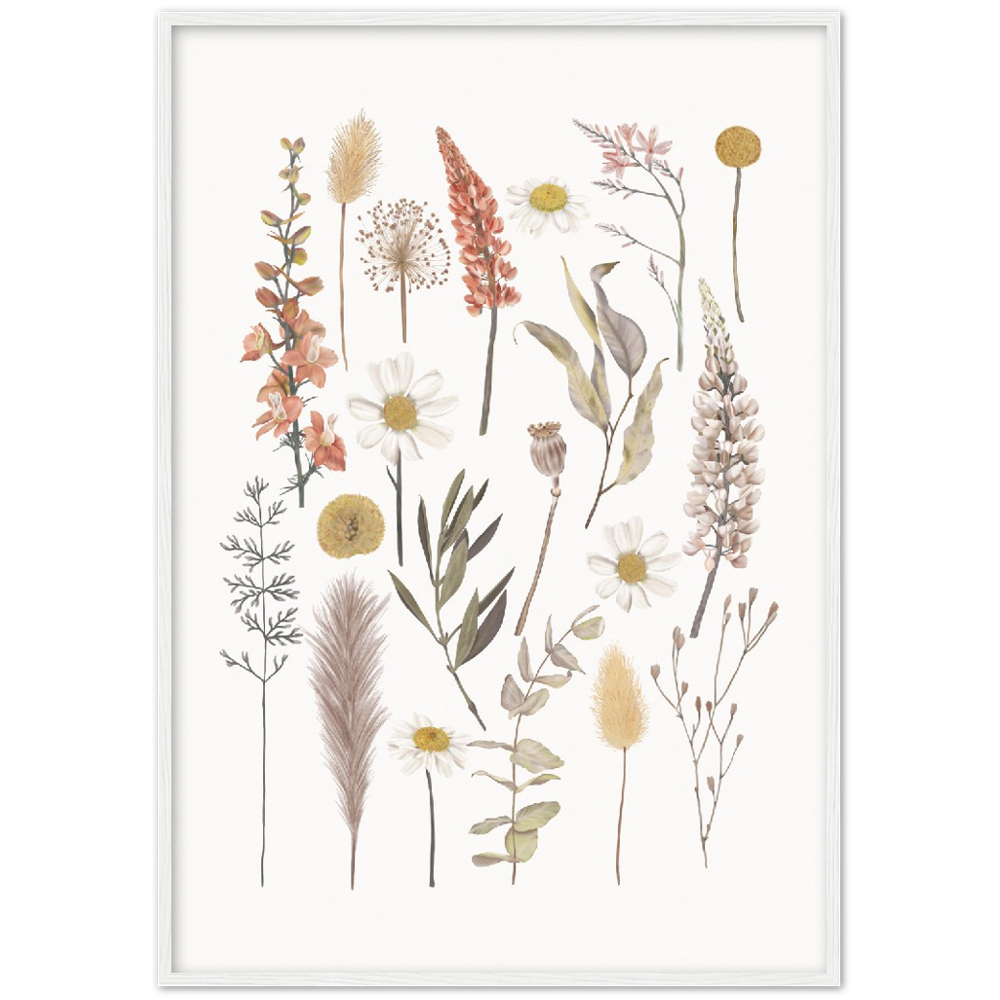 BOTANIC COMPO