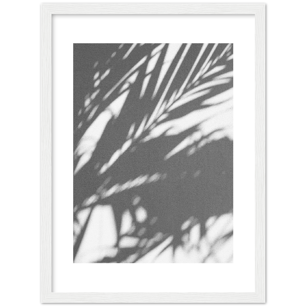 PALM SHADOW