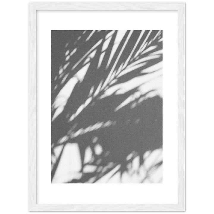 PALM SHADOW