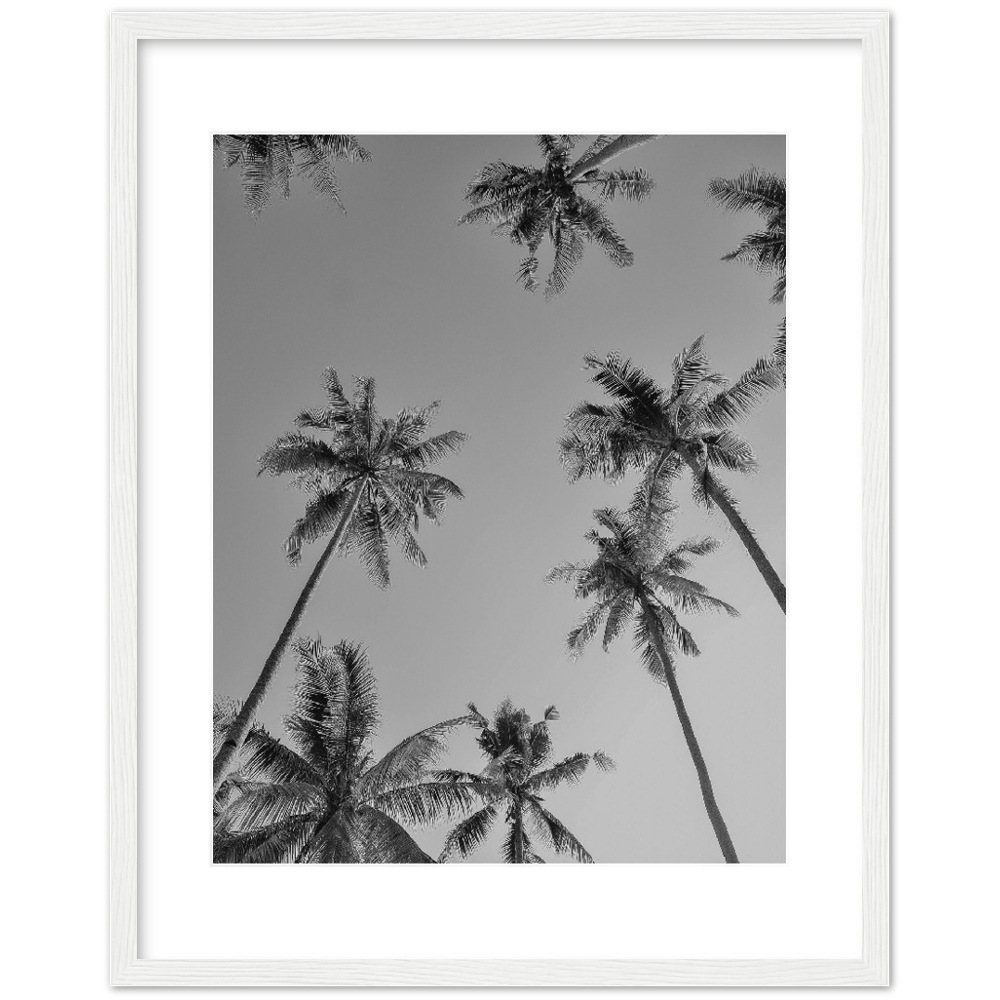 PALMAS GREY I