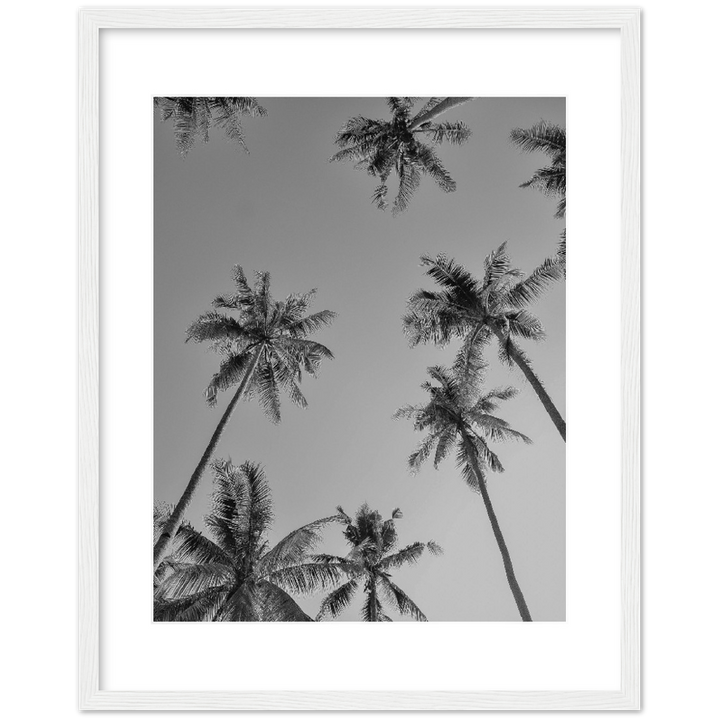 PALMAS GREY I