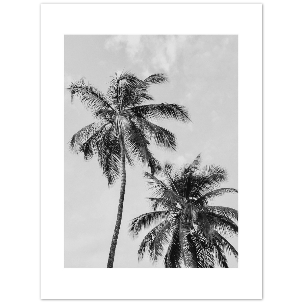 PALMERAS I