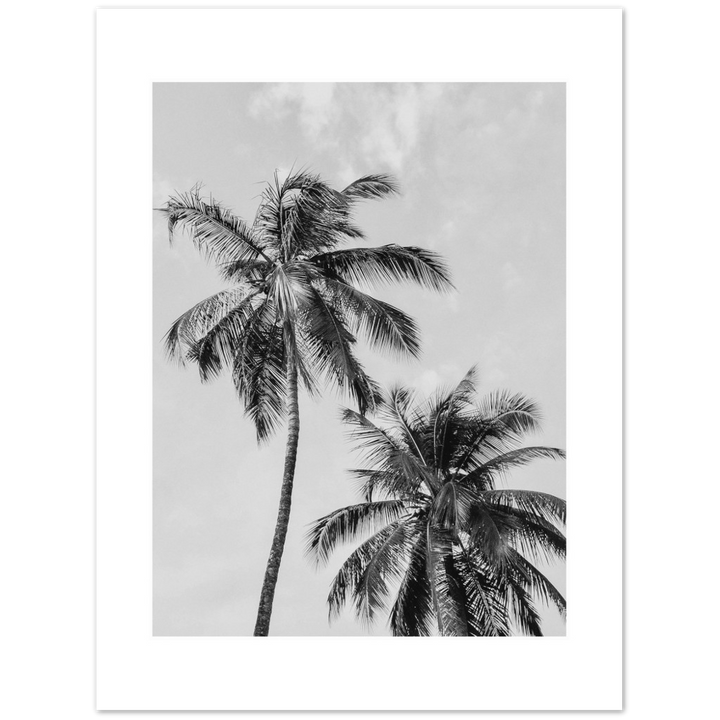 PALMERAS I