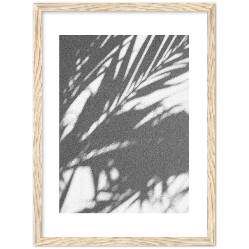 PALM SHADOW
