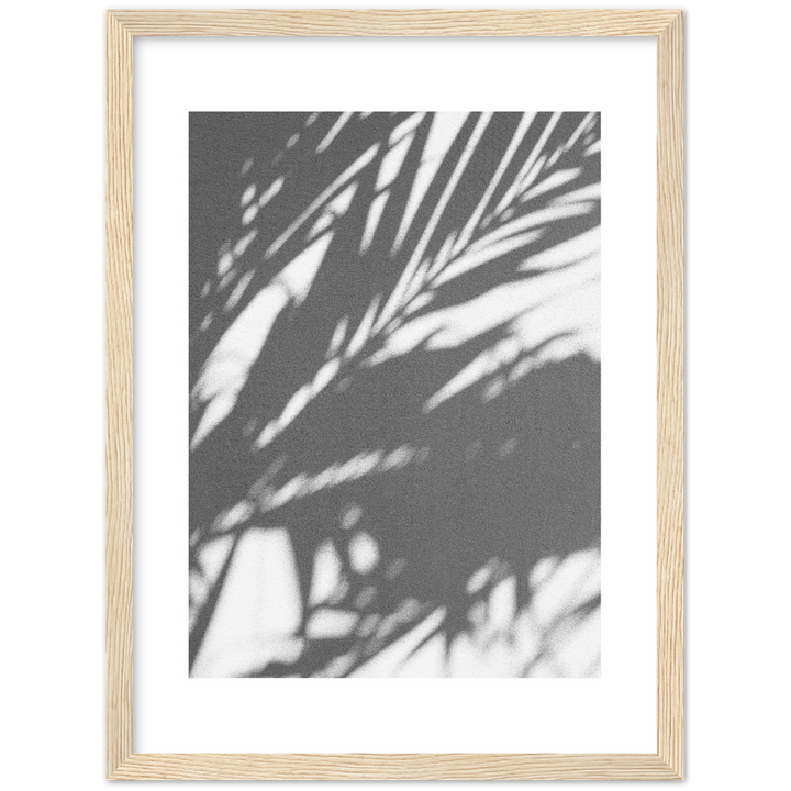 PALM SHADOW