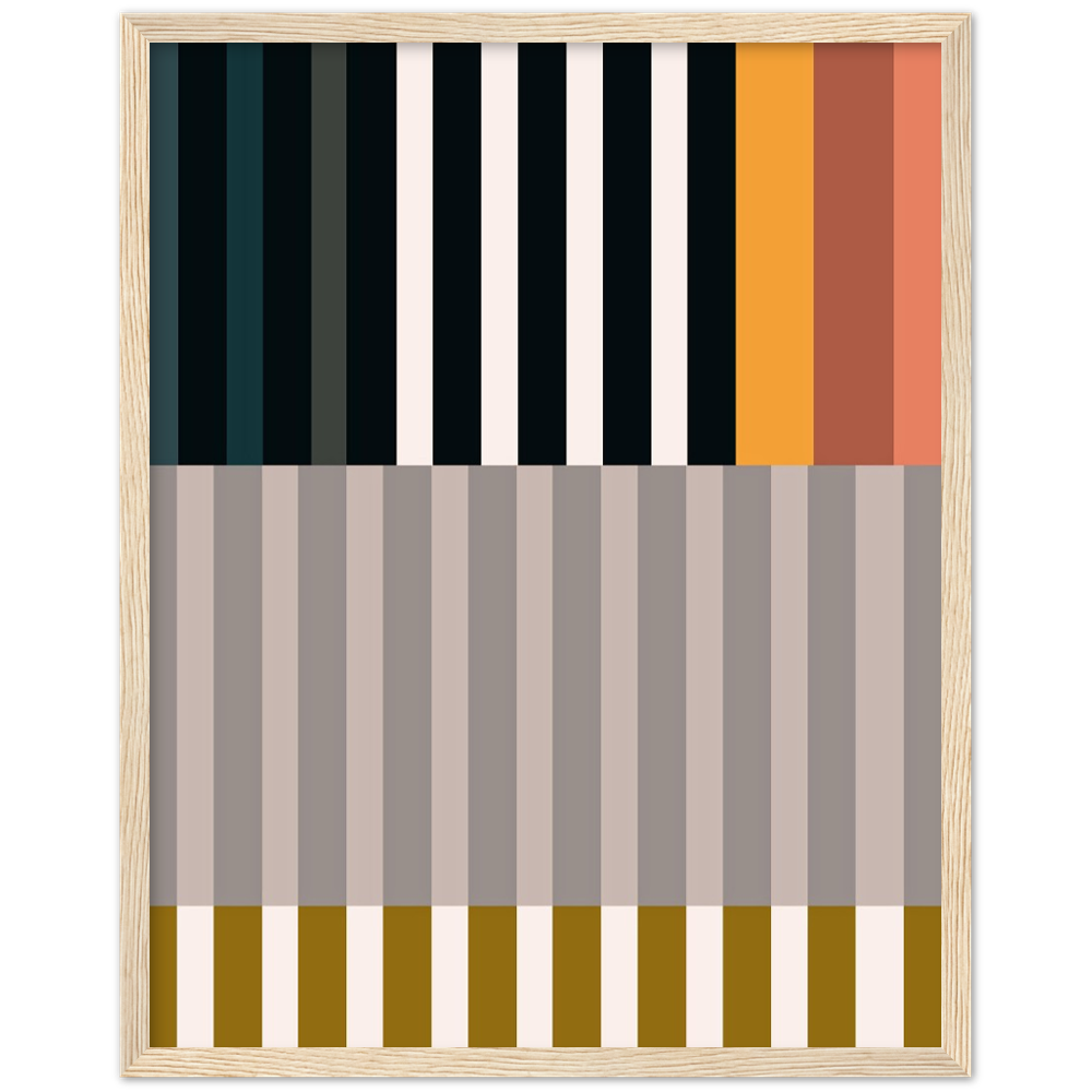 RAYVISION II