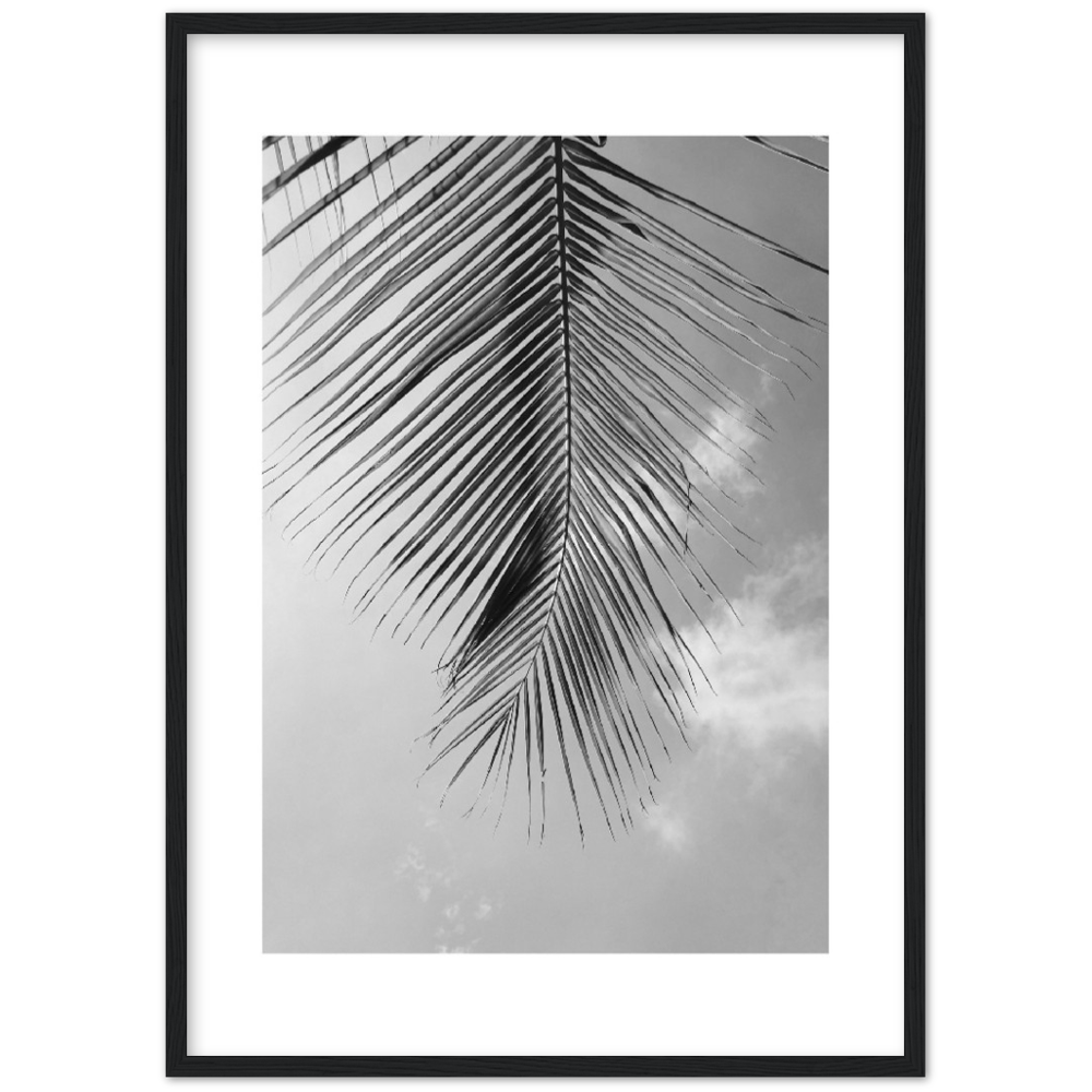 PALM CLOUD