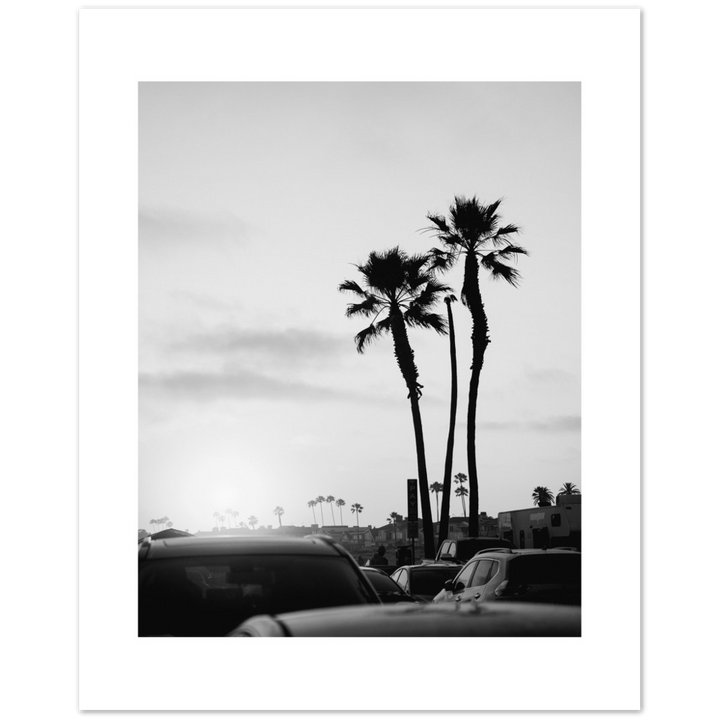 PALM STREET