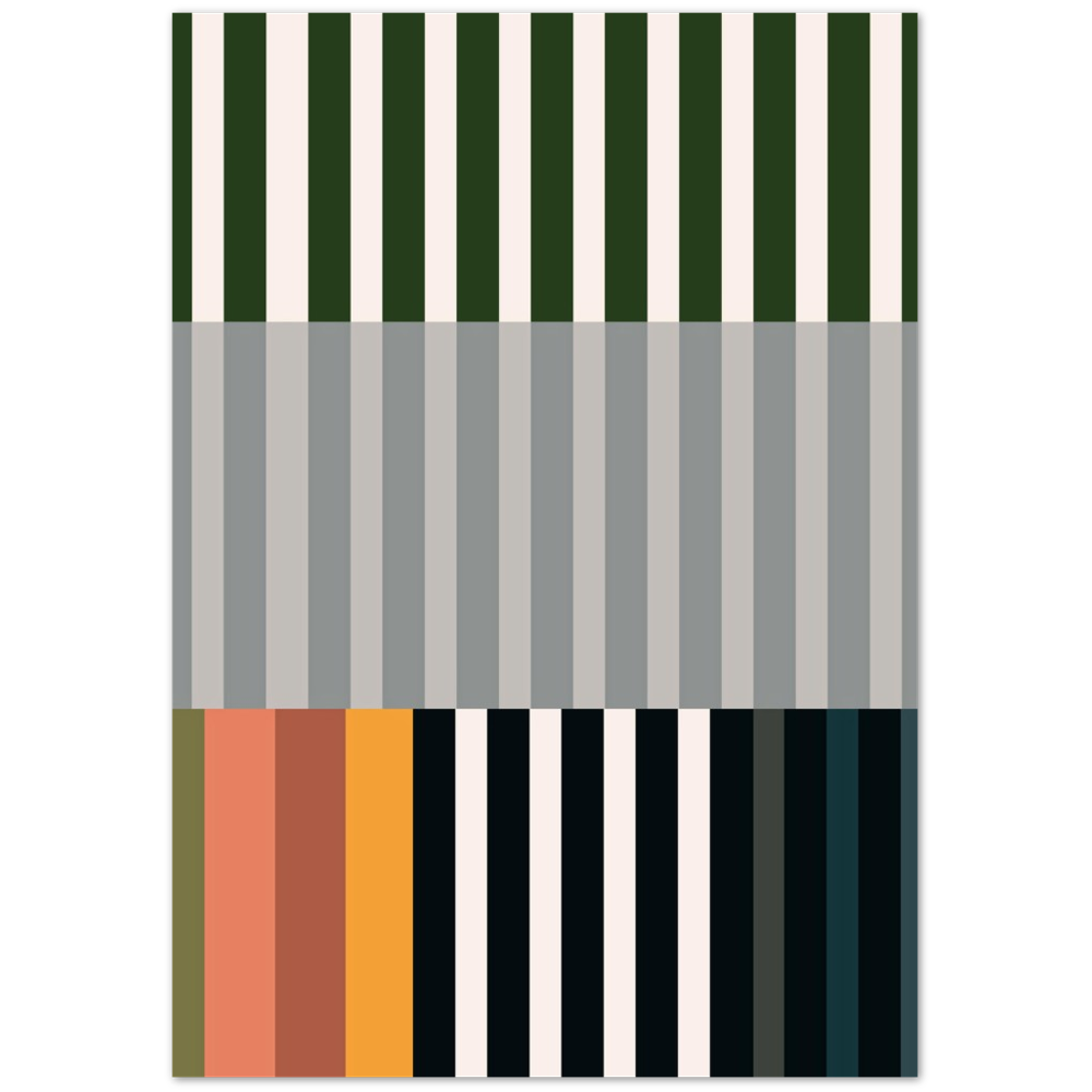 RAYVISION IV