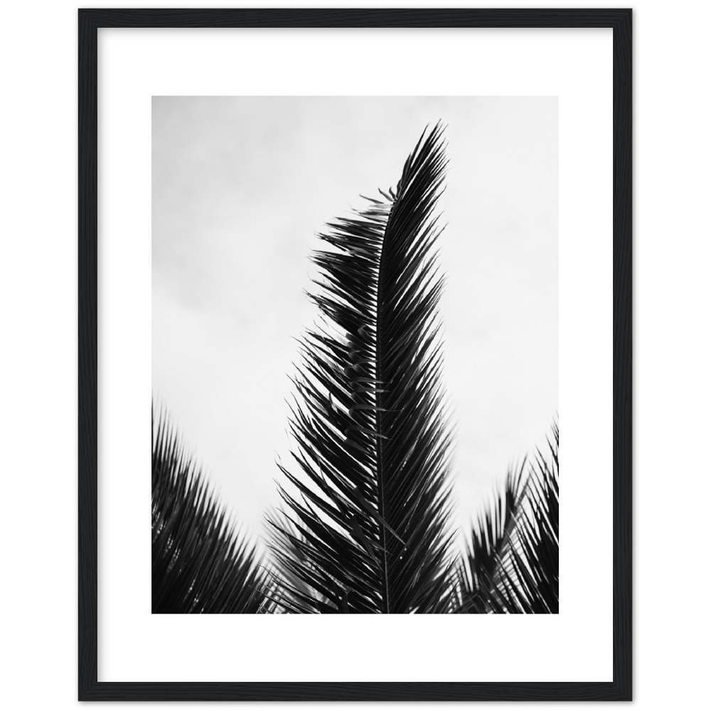 TRIPALM