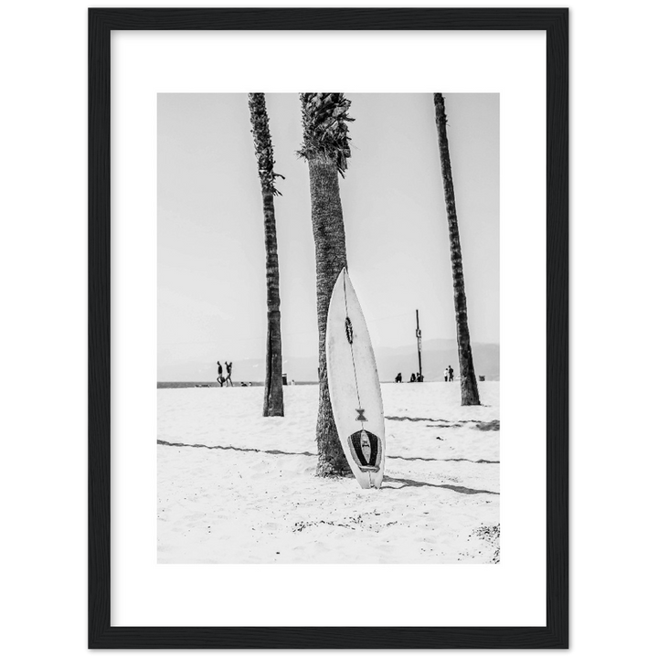 PALM SURF