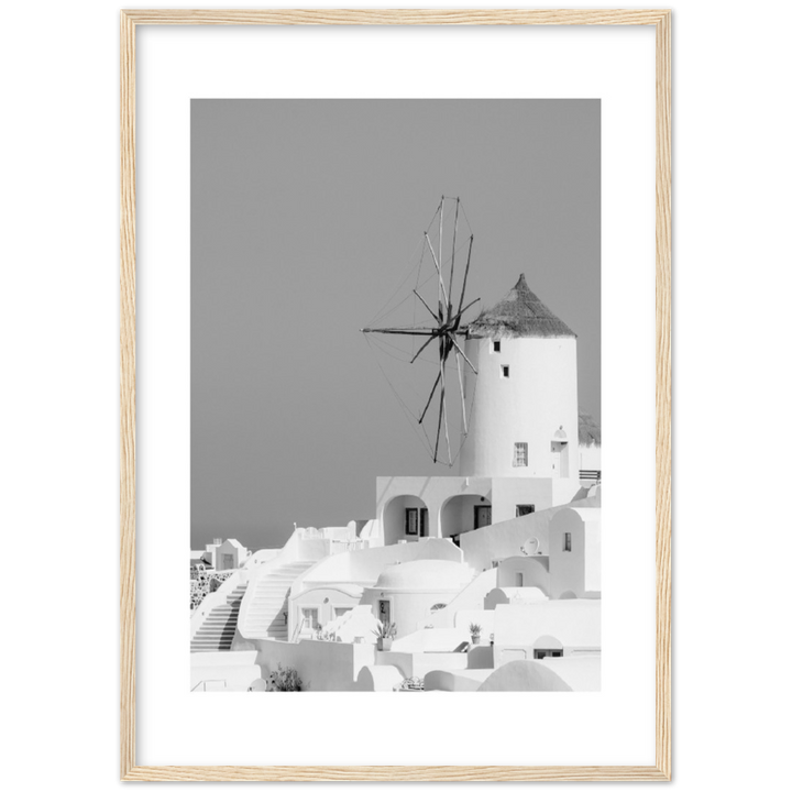 MOLINO BLANCO