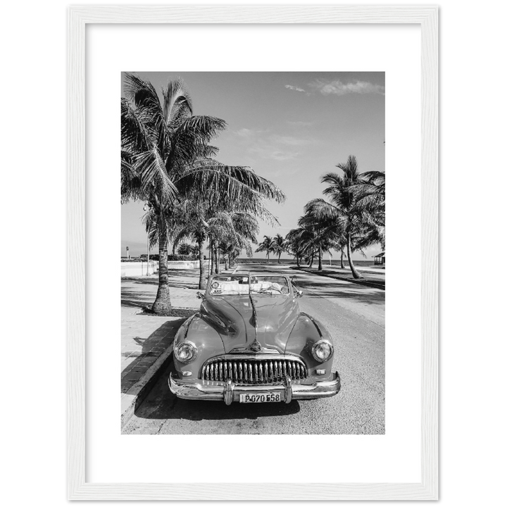 CARRO PALM