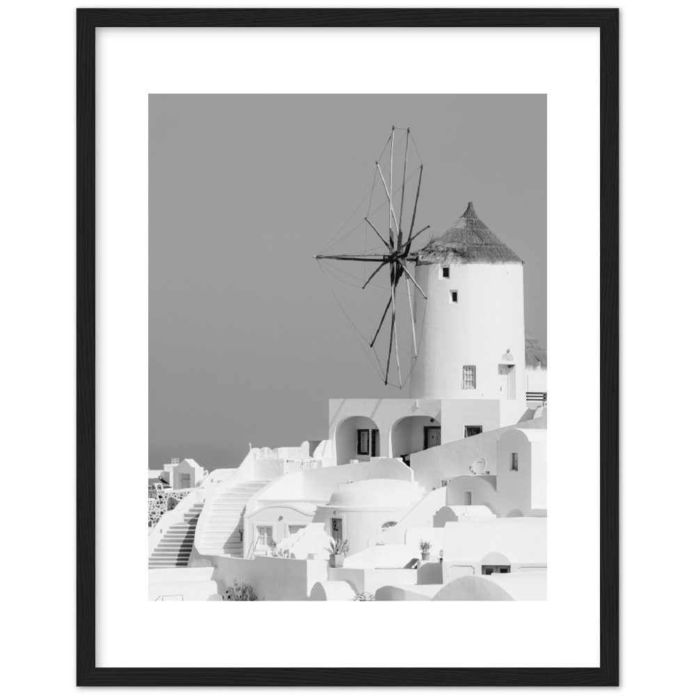 MOLINO BLANCO