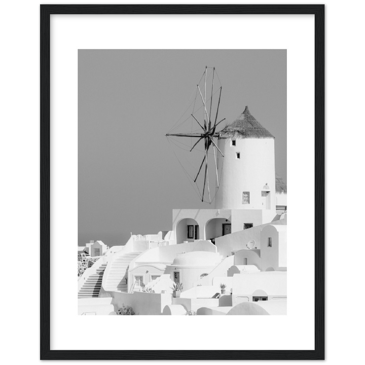 MOLINO BLANCO