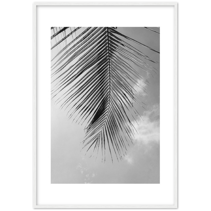 PALM CLOUD