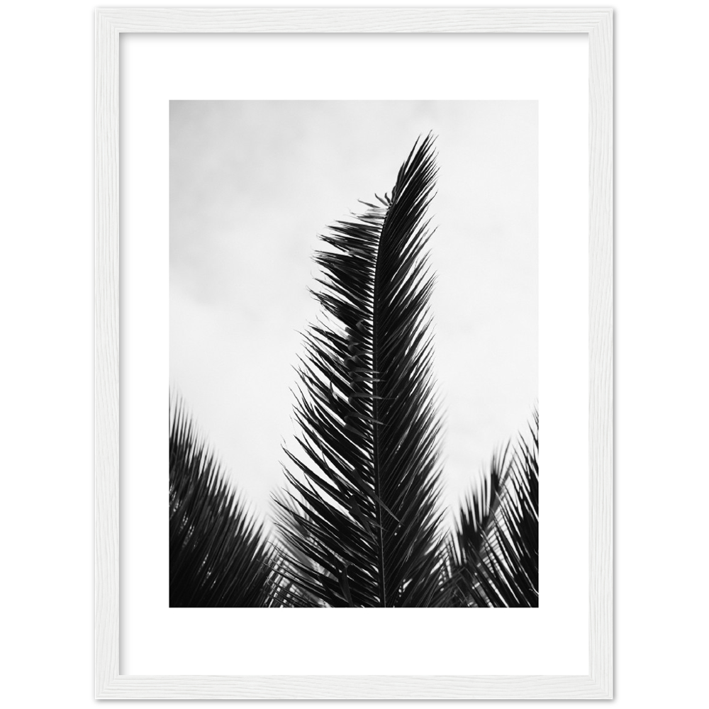 TRIPALM