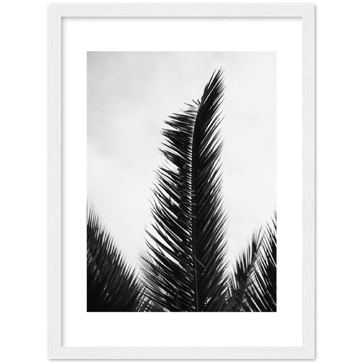 TRIPALM