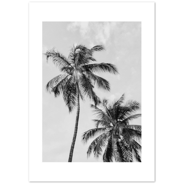 PALMERAS I