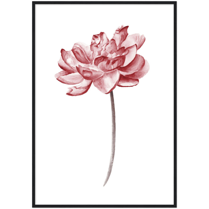 PEONIES III