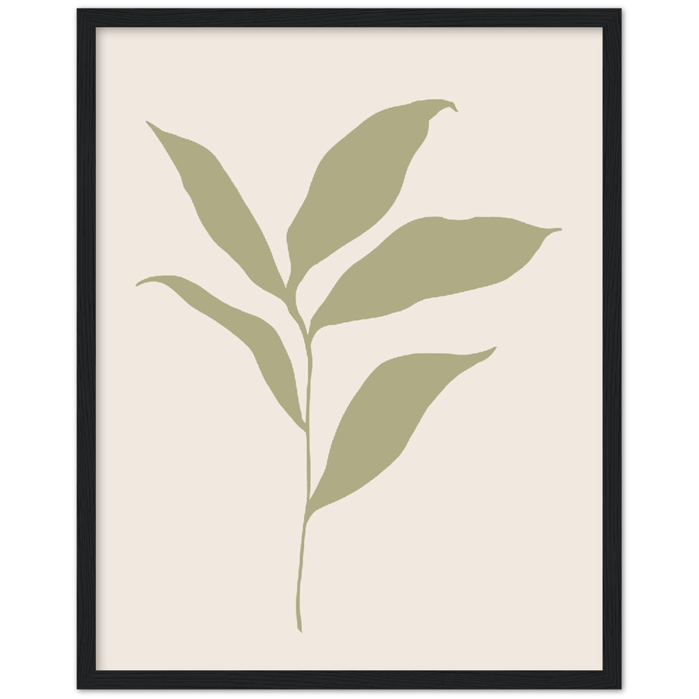 FLOR MUSA IV