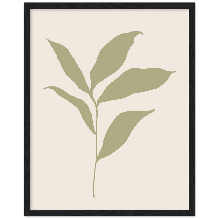 FLOR MUSA IV