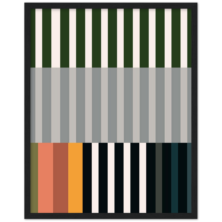 RAYVISION IV