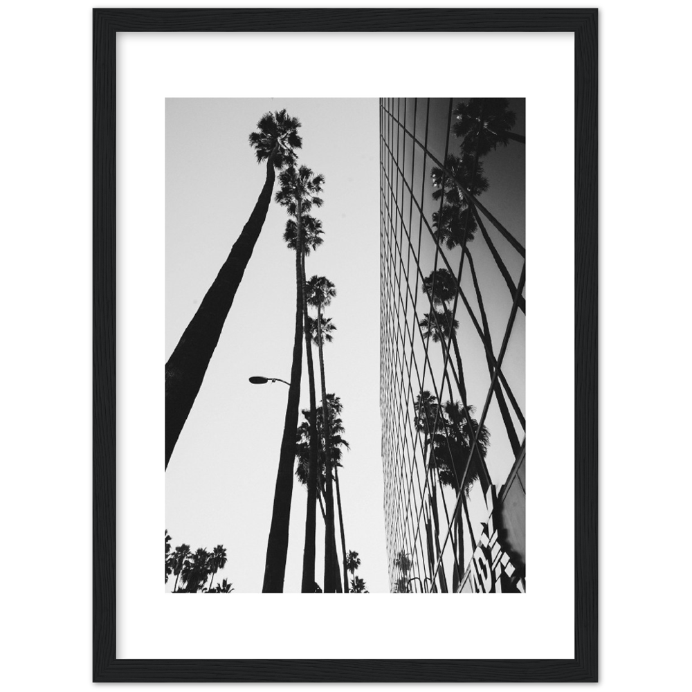 PALM TOWER
