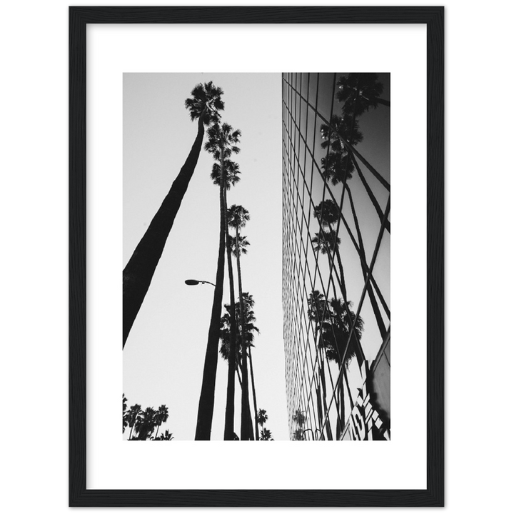PALM TOWER