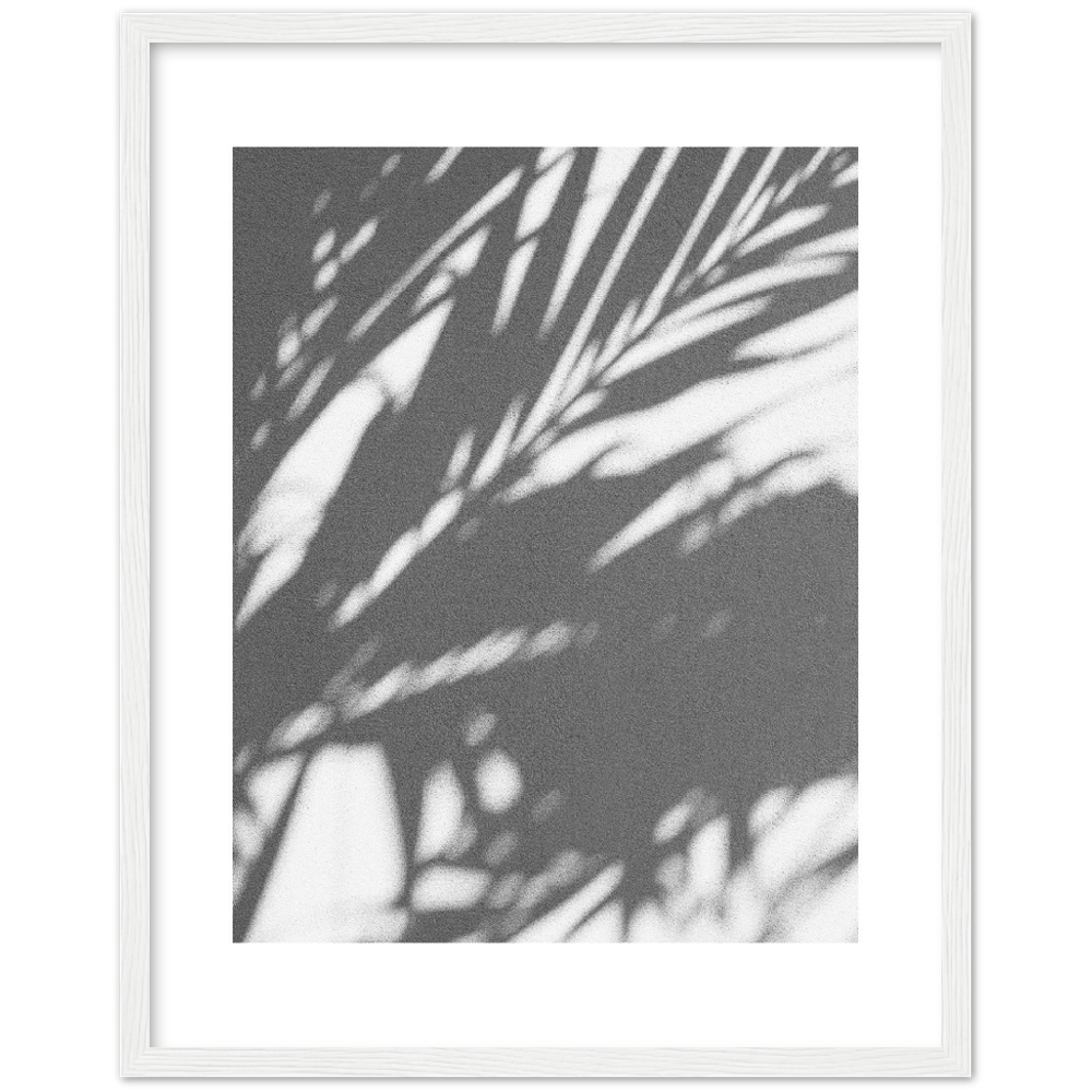 PALM SHADOW