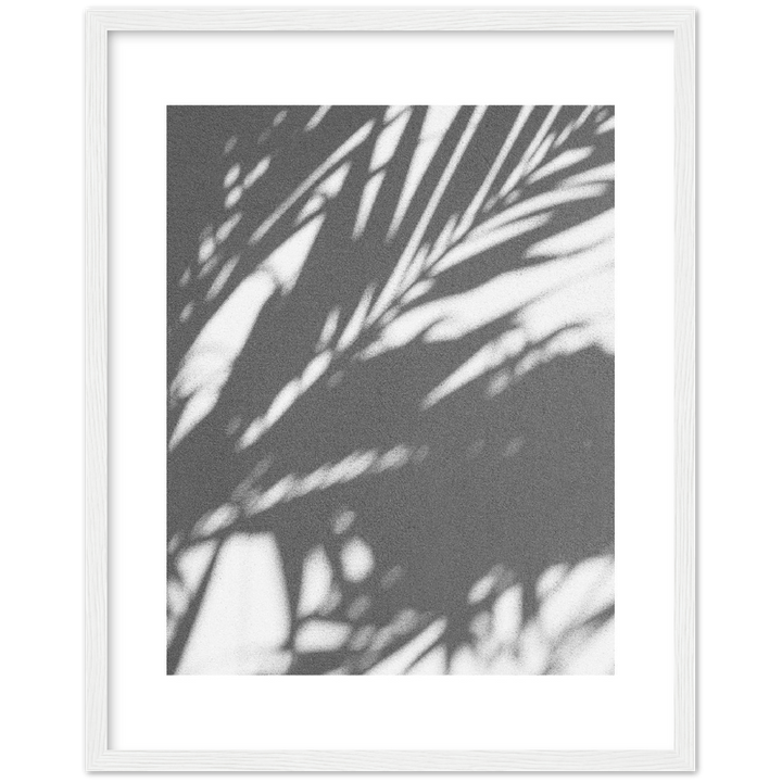 PALM SHADOW