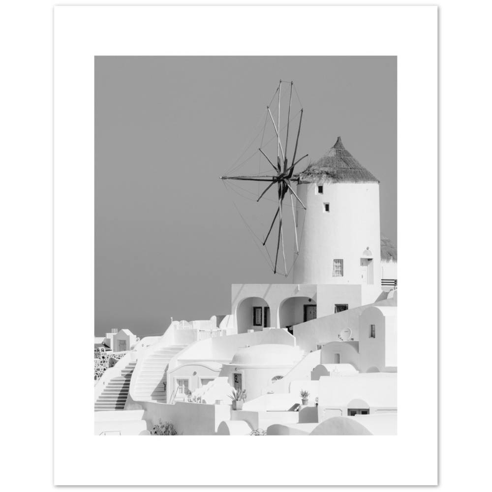 MOLINO BLANCO