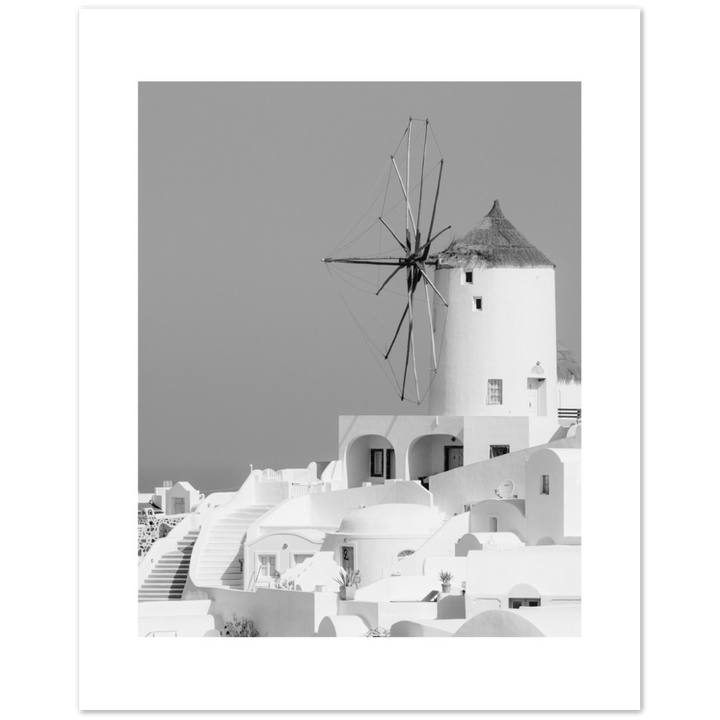 MOLINO BLANCO
