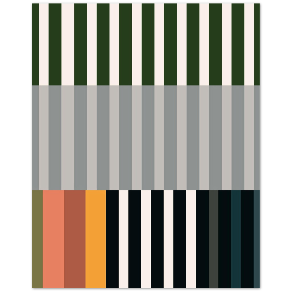 RAYVISION IV