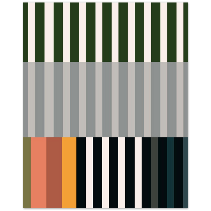 RAYVISION IV