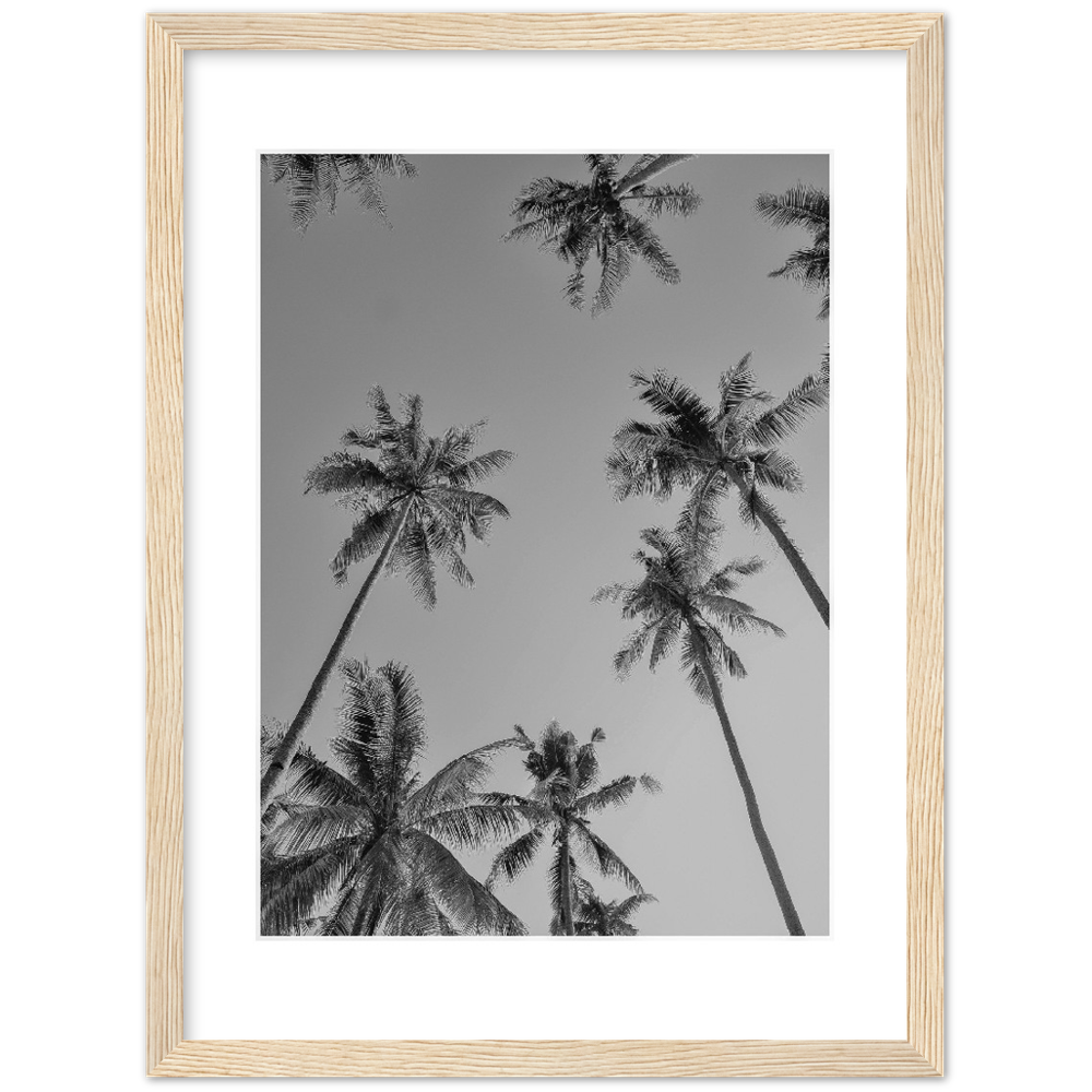 PALMAS GREY I