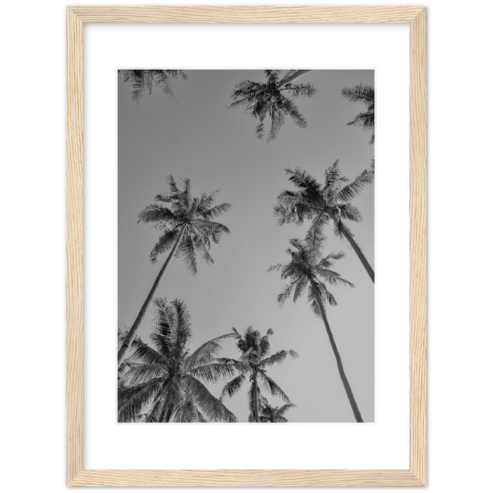 PALMAS GREY I