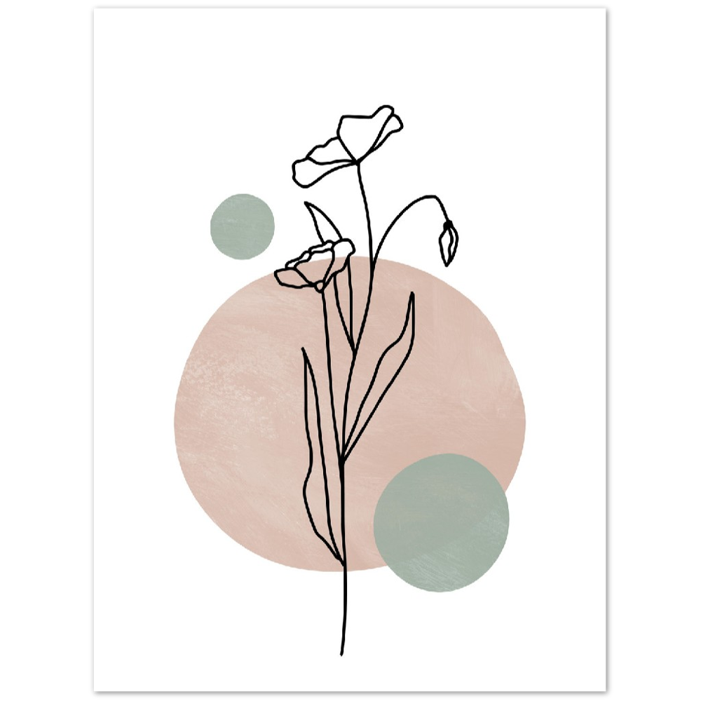 ROSA I