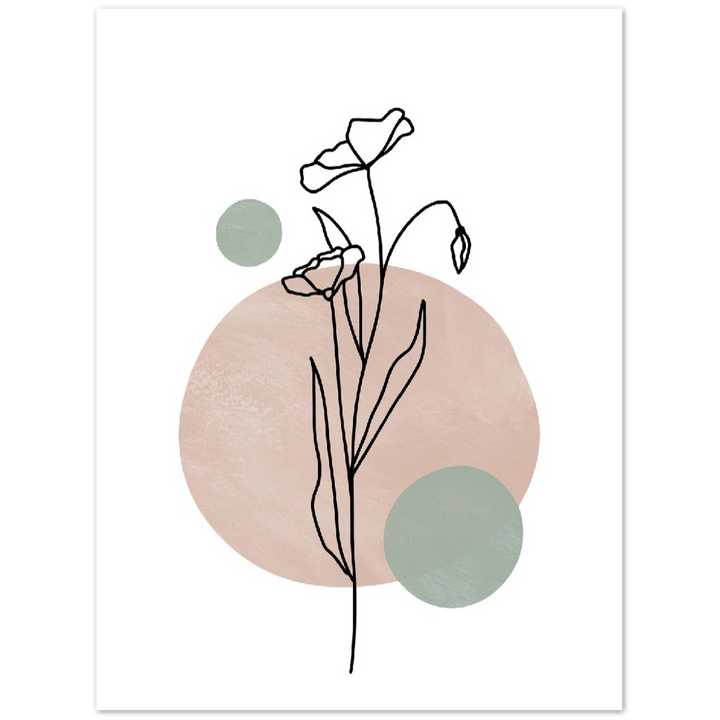 ROSA I